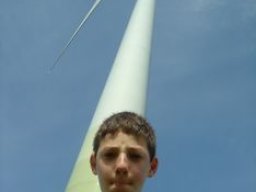 17